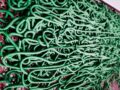 Getrocknete Spirulina Algenmasse in Spaghetti-Form