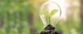 Im Hintergrund Wald, im Vordergrund Hände voller Erde, aus der eine Glühbirne wächst, die ein Blatt enthält. Energieberatung